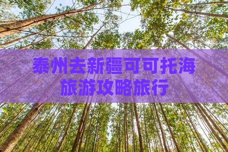 泰州去新疆可可托海旅行社