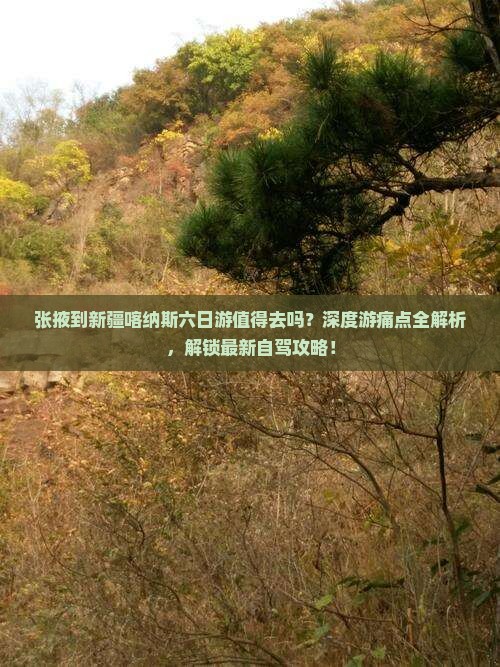 张掖到新疆喀纳斯六日游