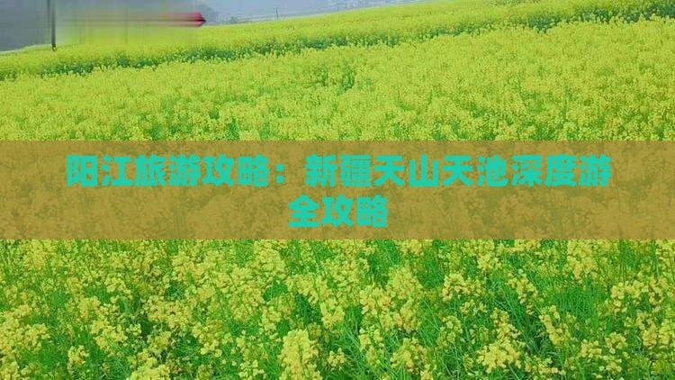 阳江去新疆天山天池攻略