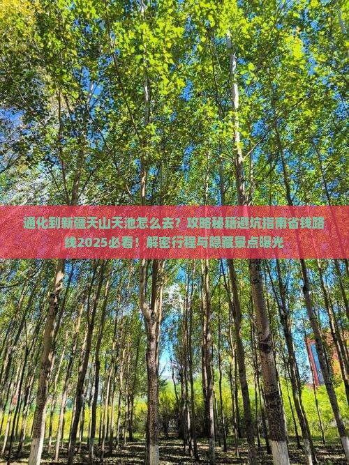 通化到新疆天山天池必去地