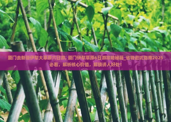 厦门去新疆伊犁大草原六日游