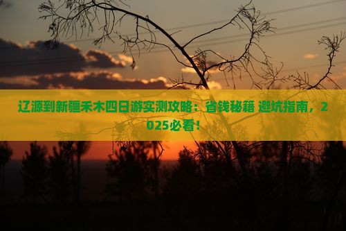 辽源到新疆禾木四日游