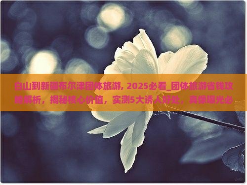白山到新疆布尔津团体旅游