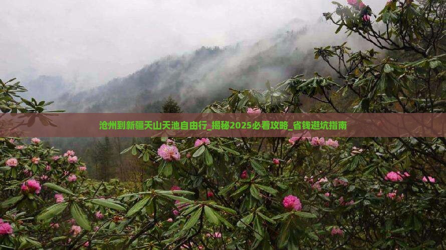 沧州到新疆天山天池自由行