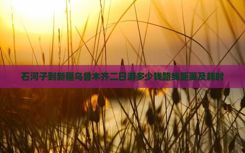 石河子到新疆乌鲁木齐二日游
