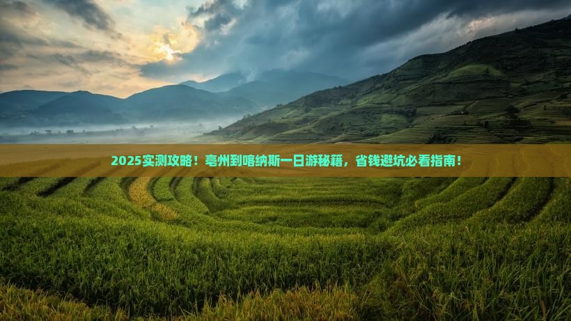 亳州到新疆喀纳斯一日