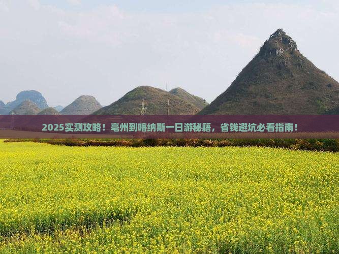 亳州到新疆喀纳斯一日