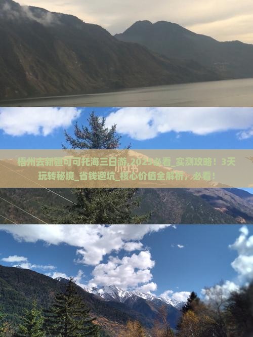 梧州去新疆可可托海三日游