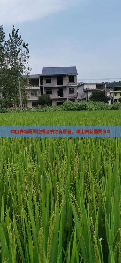 中山去新疆那拉提必去地