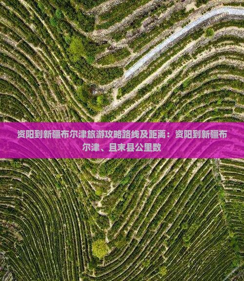 资阳到新疆布尔津旅游