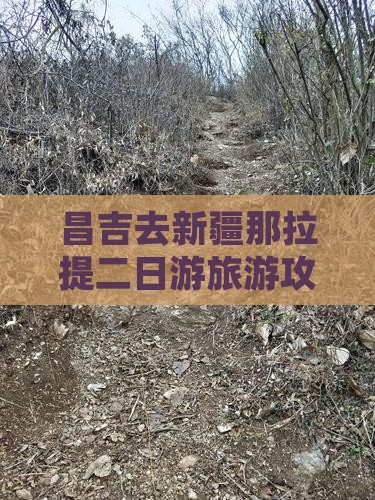 昌吉去新疆那拉提二日游