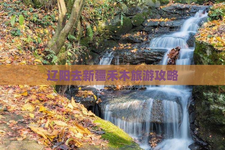 辽阳去新疆禾木哪里玩