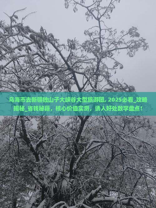 乌海市去新疆独山子大峡谷大型旅游团