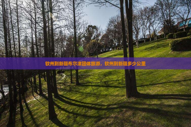钦州到新疆布尔津团体旅游