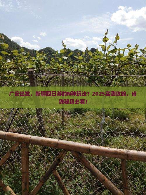 广安去新疆四日游