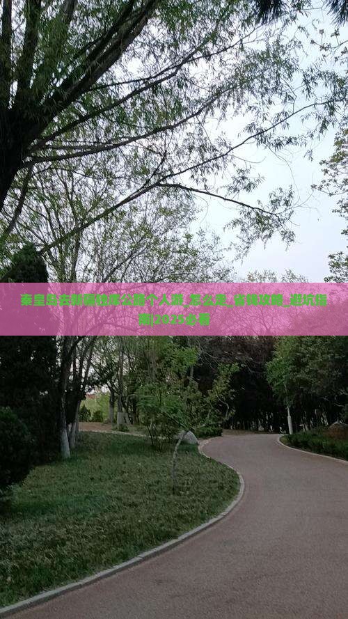 秦皇岛去新疆独库公路个人游