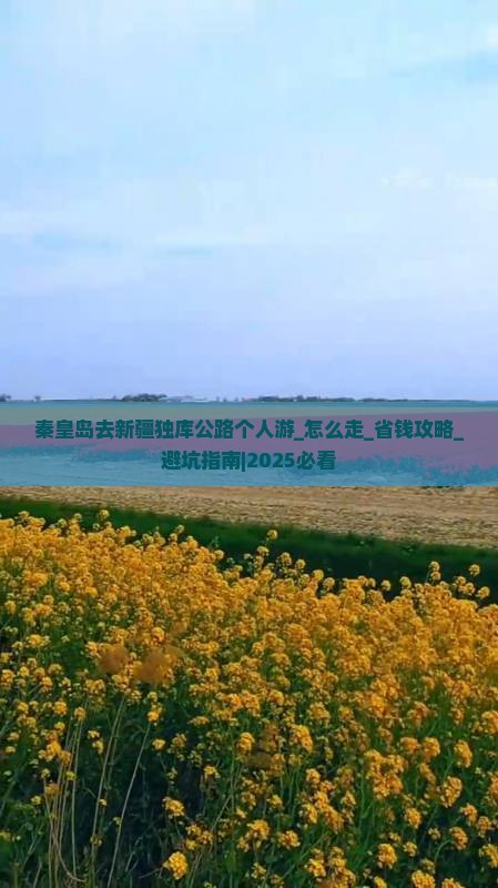 秦皇岛去新疆独库公路个人游