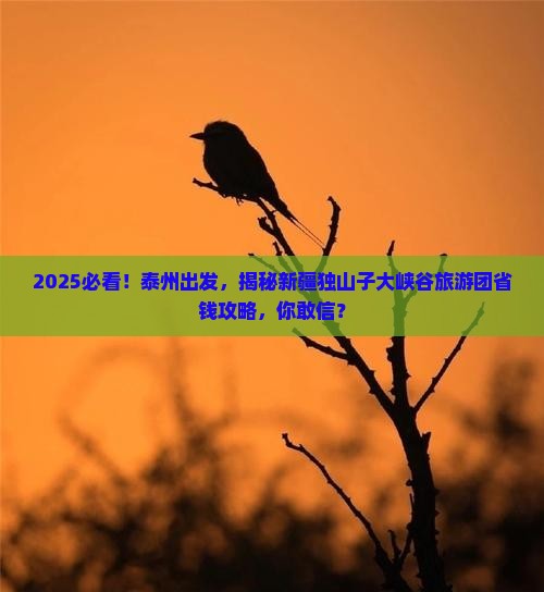 泰州到新疆独山子大峡谷大型旅游团