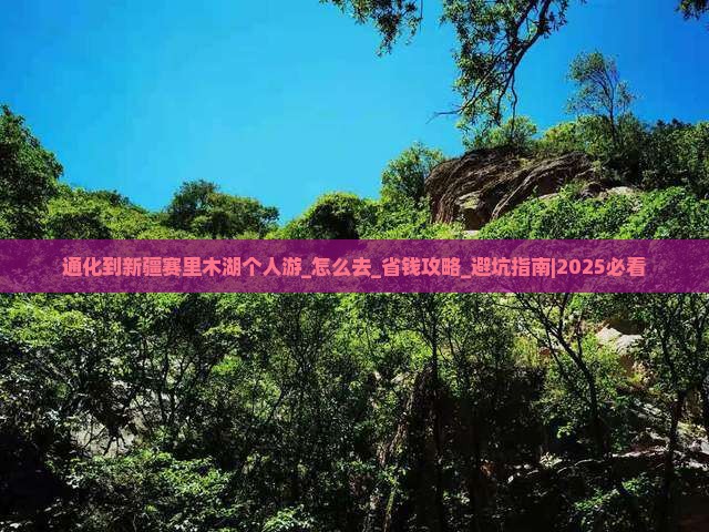 通化到新疆赛里木湖个人游