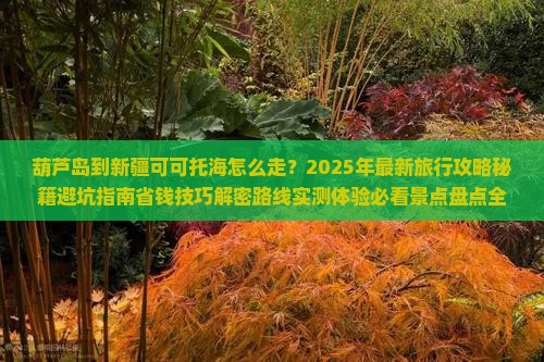 葫芦岛到新疆可可托海旅行社