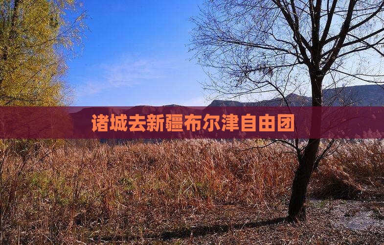 诸城去新疆布尔津自由团