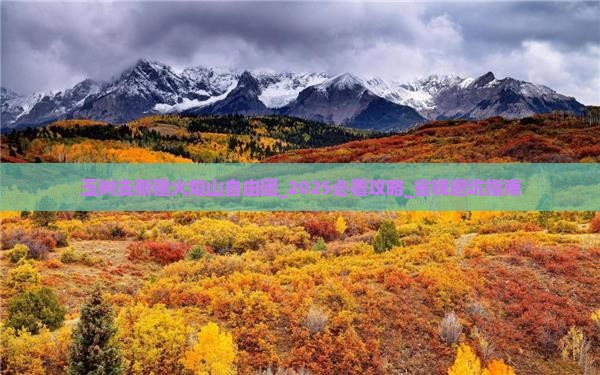 玉树去新疆火焰山自由团