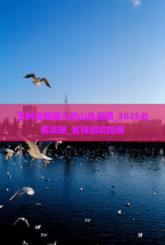 玉树去新疆火焰山自由团