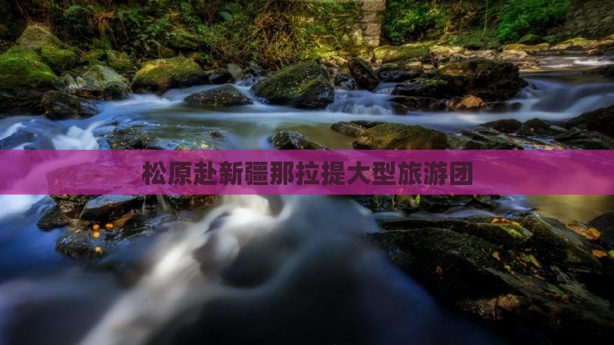 松原去新疆那拉提大型旅游团