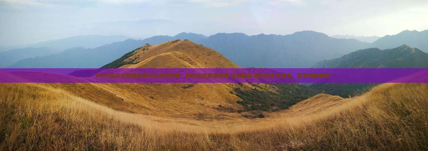 临沂去新疆旅游小吃