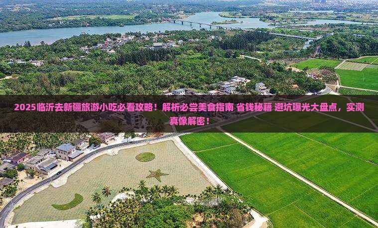 临沂去新疆旅游小吃