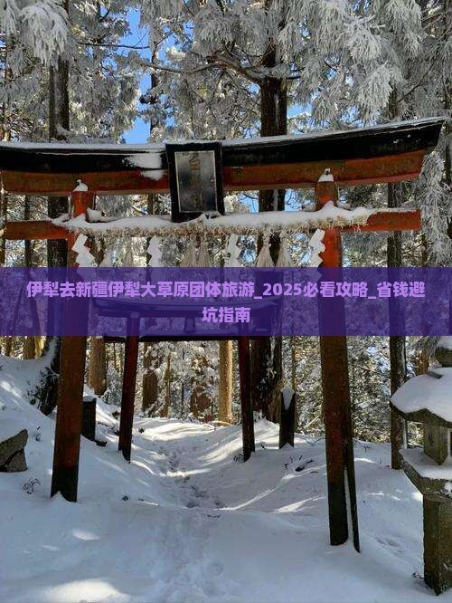 伊犁去新疆伊犁大草原团体旅游