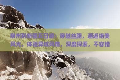 泉州到新疆五日游
