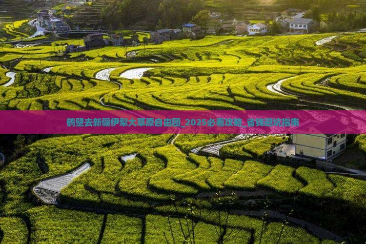 鹤壁去新疆伊犁大草原自由团