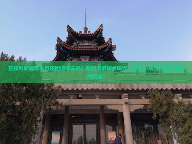 甘孜到新疆禾木自由团