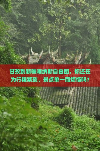 甘孜到新疆喀纳斯自由团