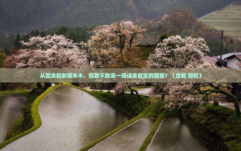 韶关到新疆禾木团体旅游