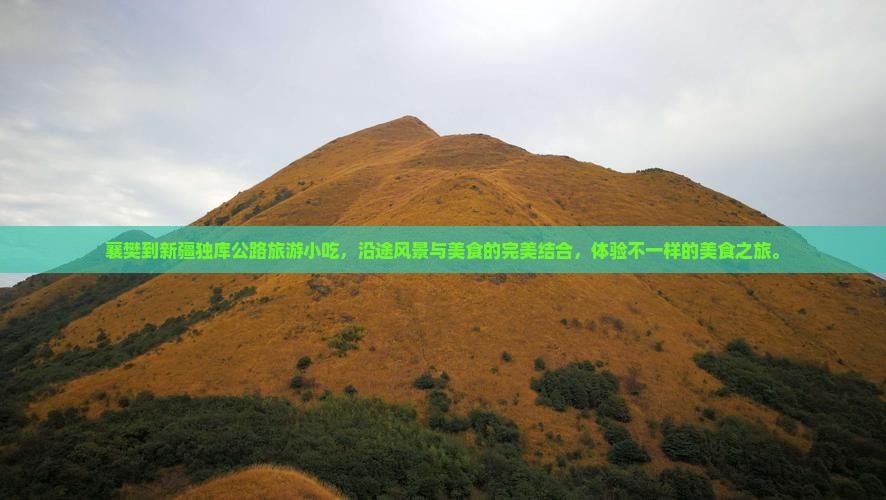 襄樊到新疆独库公路旅游小吃