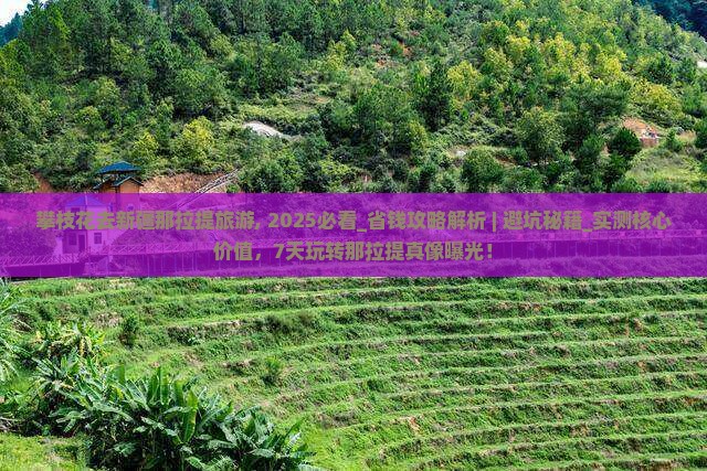 攀枝花去新疆那拉提旅游