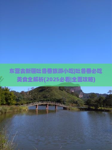 东营去新疆吐鲁番旅游小吃