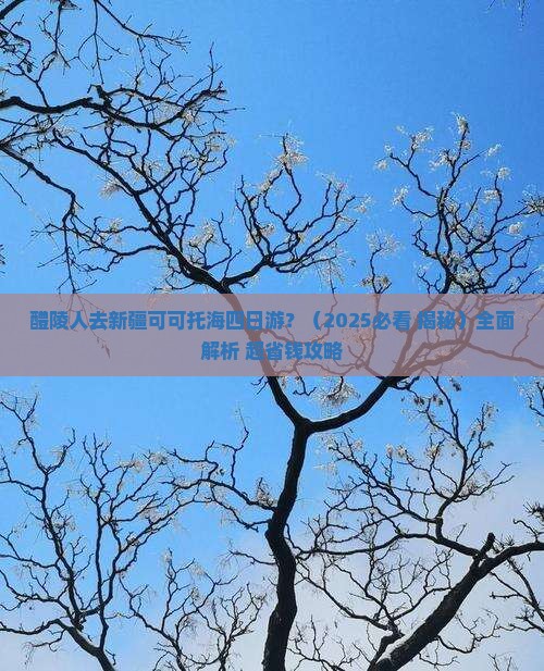 醴陵去新疆可可托海四日游