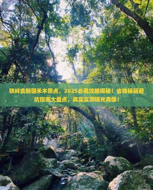 铁岭去新疆禾木景点
