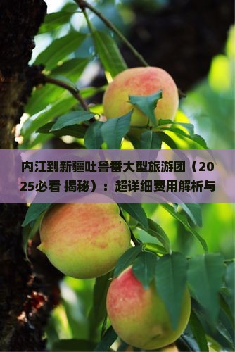 内江到新疆吐鲁番大型旅游团