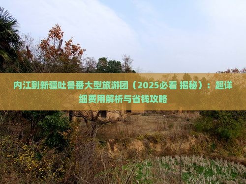 内江到新疆吐鲁番大型旅游团