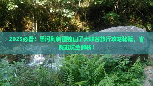 黑河到新疆独山子大峡谷旅行社