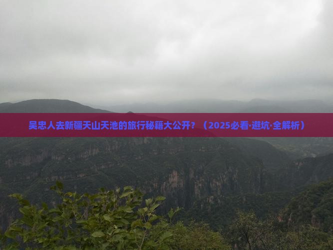 吴忠去新疆天山天池旅行社