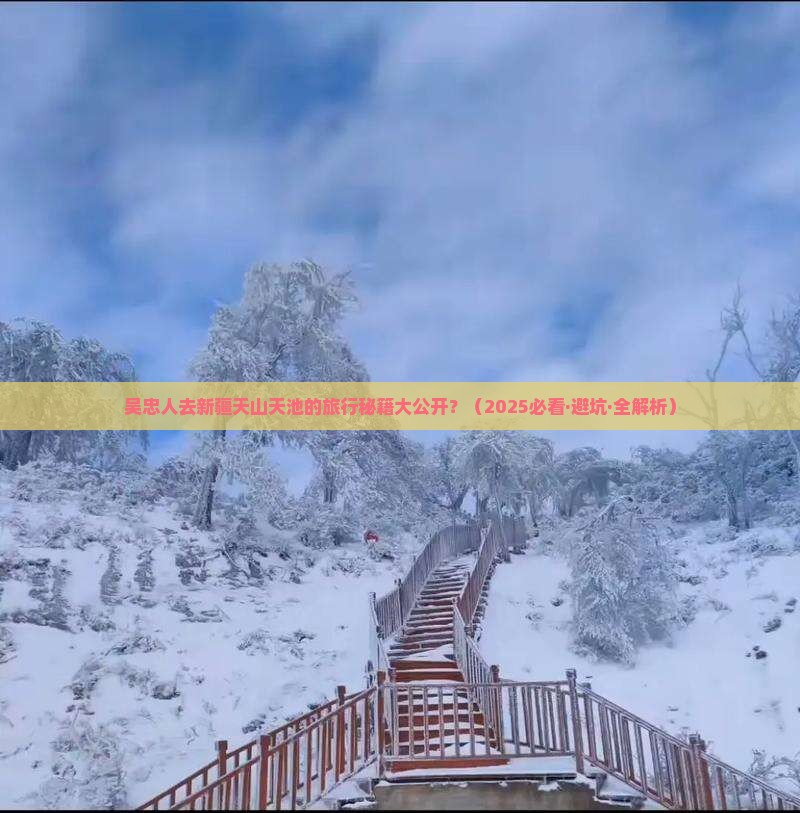 吴忠去新疆天山天池旅行社