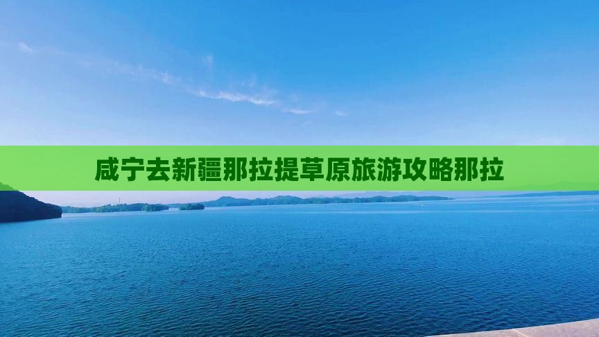 咸宁去新疆那拉提景点