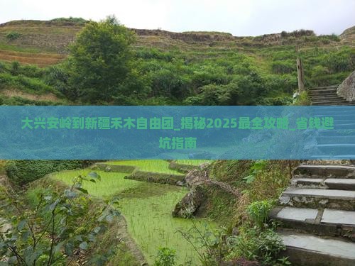 大兴安岭到新疆禾木自由团
