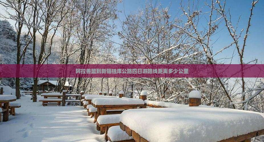 阿拉善盟到新疆独库公路四日游