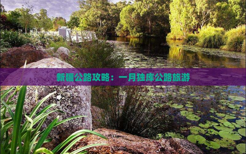 一月到新疆独库公路旅游